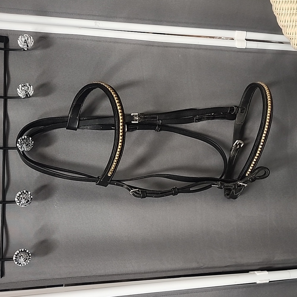 Brass Studded English Bridle